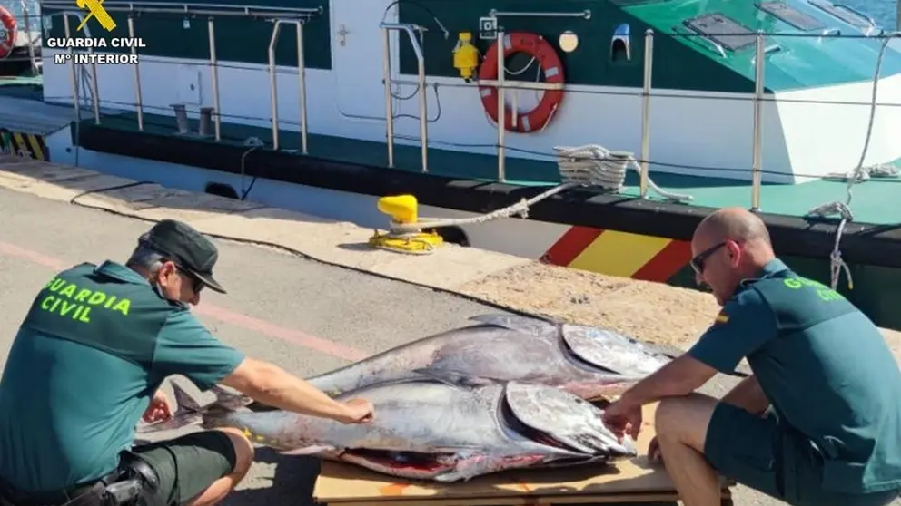 At&uacute;n rojo intervenido por la Guardia Civil