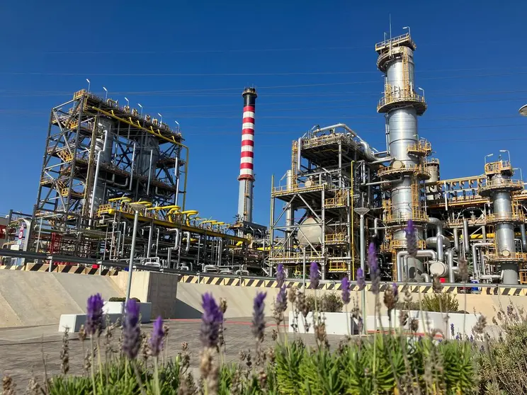 Planta Qu&iacute;mica Puente Mayorga - Cepsa