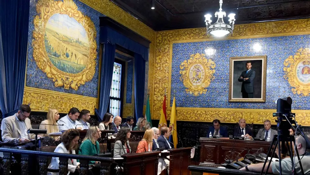 Pleno ordinario