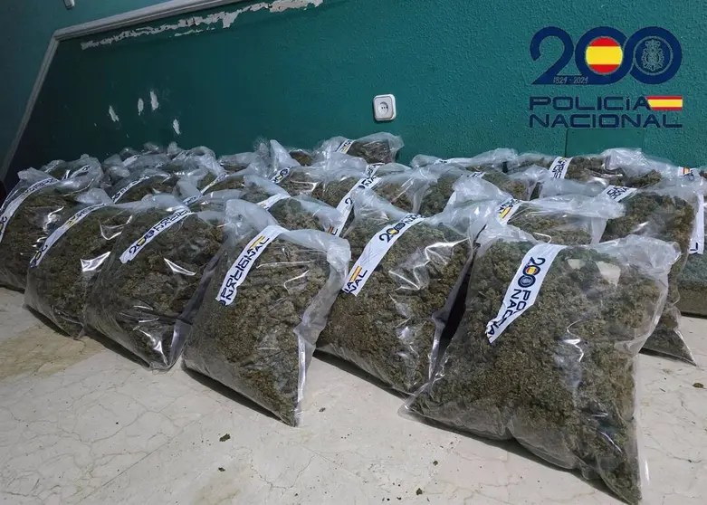 Droga intervenida