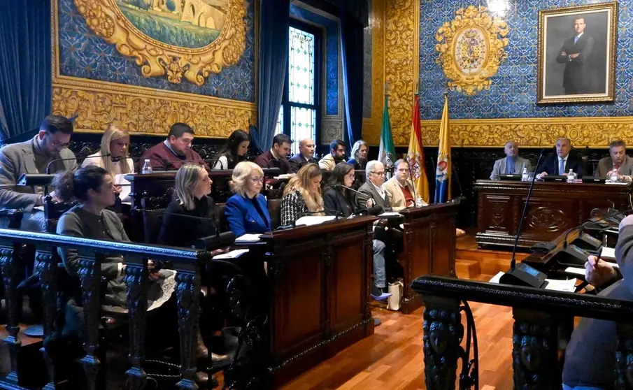 Pleno ordinario