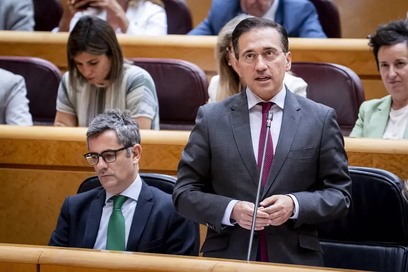 Jos&eacute; Manuel Albares, en el Senado