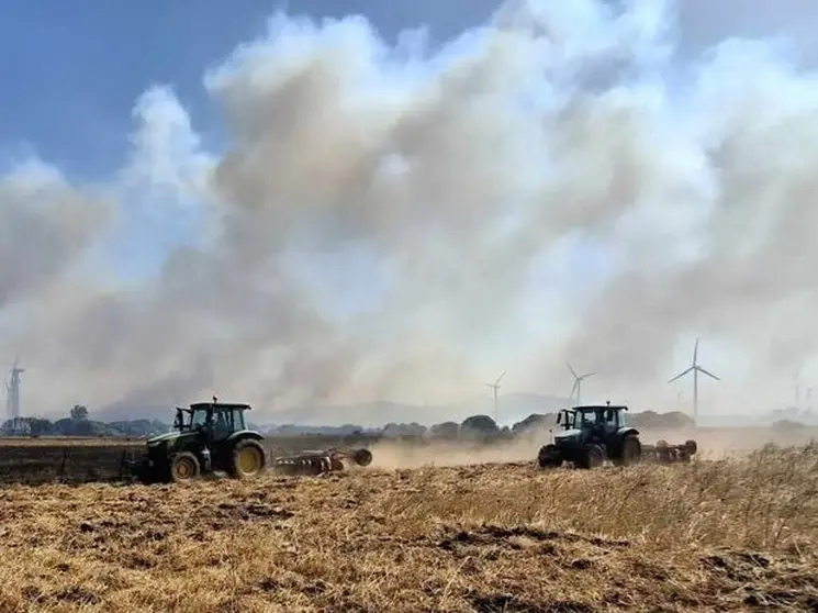 04/07/2025 Tractores de agricultores y del Infoca trabajando sobre el incendio de Facinas.
POLITICA ESPA&Ntilde;A EUROPA ANDALUC&Iacute;A
INFOCA