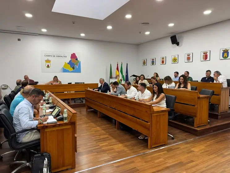 Pleno de Mancomunidad