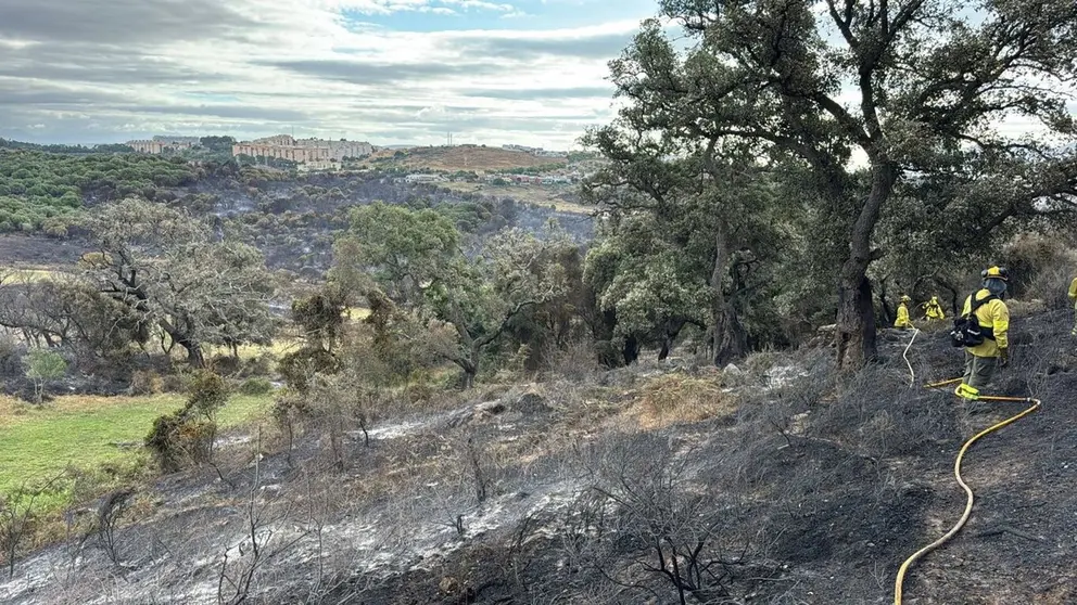 Tareas de Infoca ante el incendio de Algeciras.