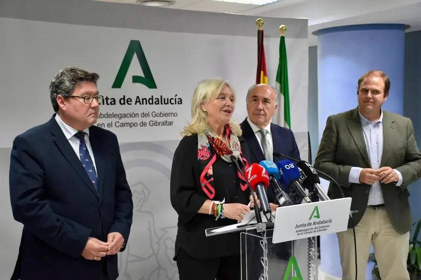 Presentaci&oacute;n del plan