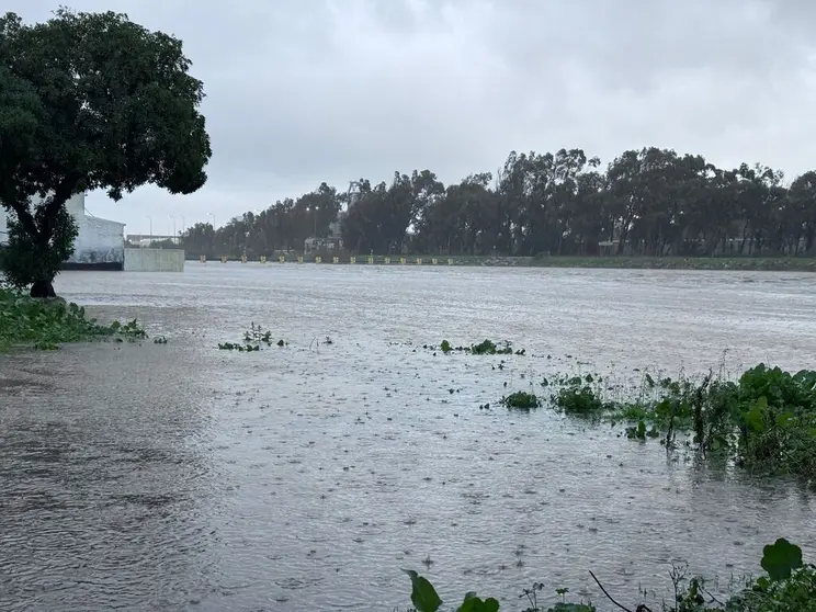 Efectos del temporal