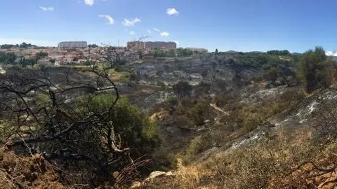 Terreno quemado en el incendio. Foto de Jos&eacute; Mar&iacute;a G&oacute;mez