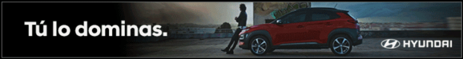 Banner Hyundai