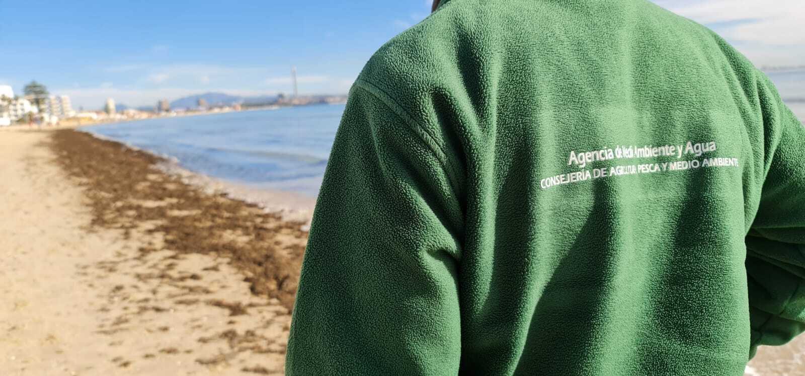 Trabajadores de Medio Ambiente de la Junta de Andalucía realizando trabajos de retirada del alga asiática