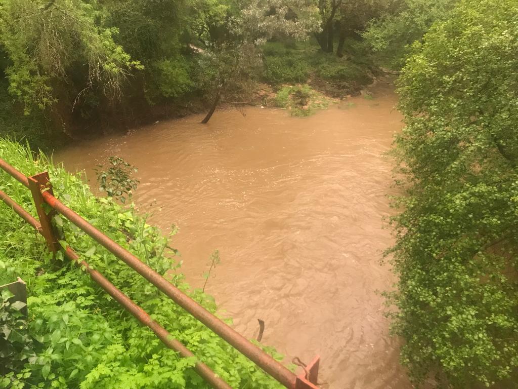 Arroyo cercano al área recreativa de La Montera